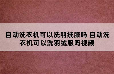 自动洗衣机可以洗羽绒服吗 自动洗衣机可以洗羽绒服吗视频